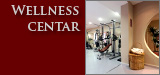 Wellness centar